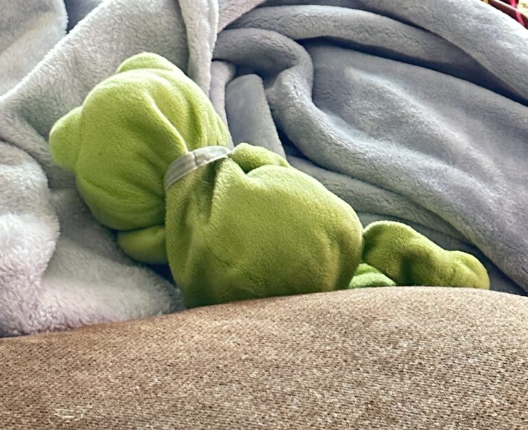 Froggy sleeping from behind